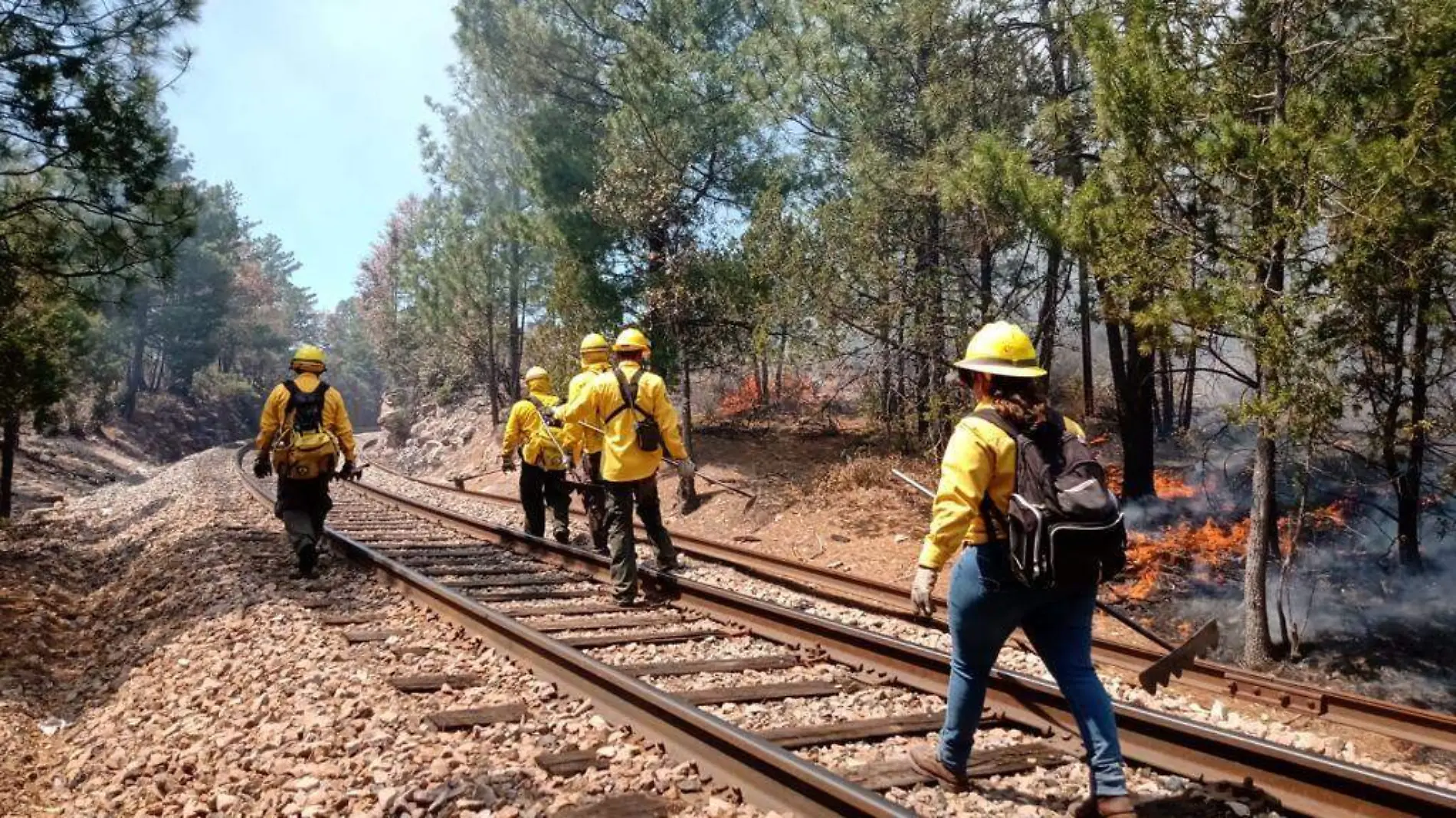 INCENDIO FOTO CORTESIA CONAFOR